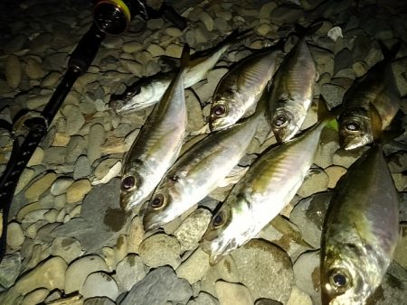 フロートゲーム