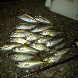 フロートゲーム