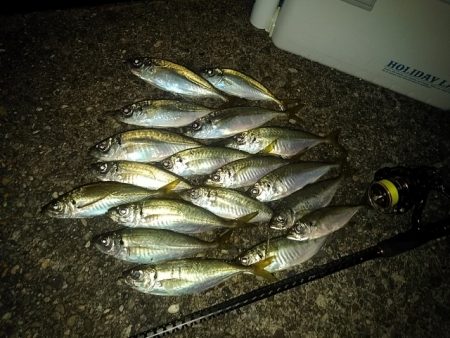 フロートゲーム