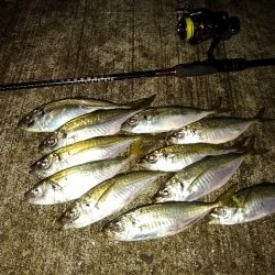 フロートゲーム