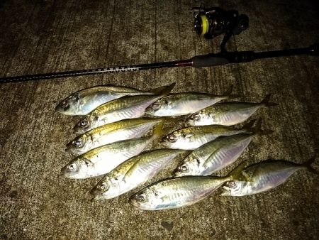 フロートゲーム