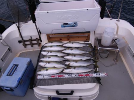 遊漁船SOUTH7/28釣果