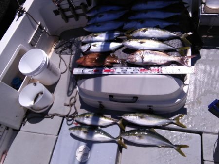 遊漁船SOUTH7/30釣果