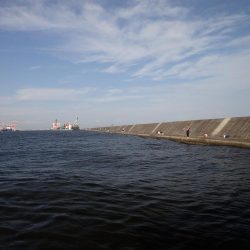 ミッドワインドでアコウキャッチ♪