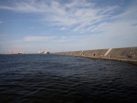 ミッドワインドでアコウキャッチ♪