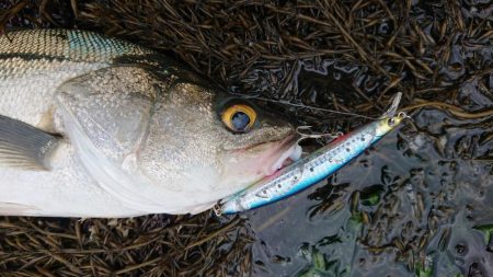 雨の中休み釣行！