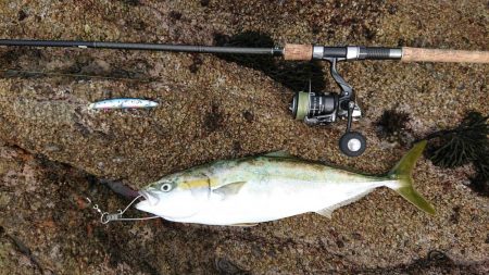 氷河期のハズが・・・？