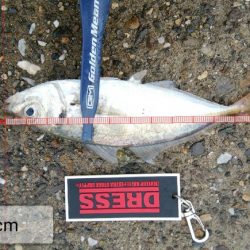 連休最終日も3目で終了