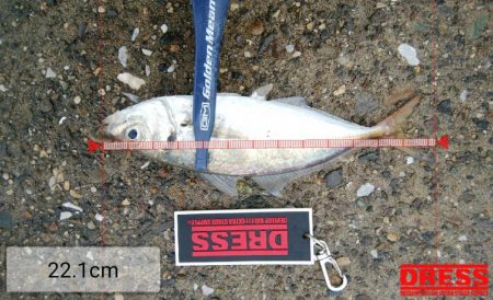 連休最終日も3目で終了