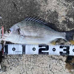 チニングでついに！