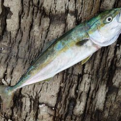 サイズダウン。。