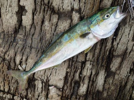 サイズダウン。。