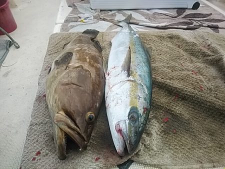 大物釣果速報！●光義丸