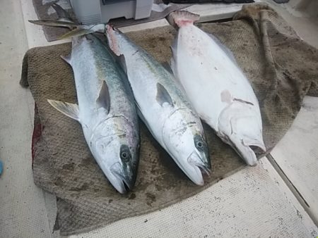 大物釣果速報！●光義丸：平戸市早福港