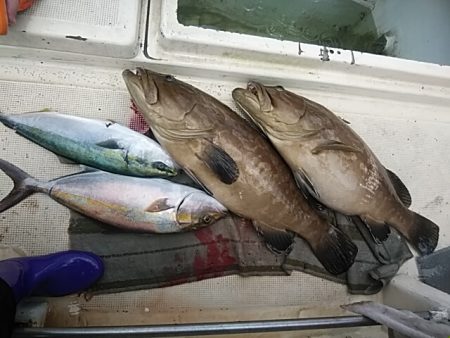 大物釣果速報！●光義丸：平戸市早福港