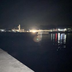 ぶっこみ夜釣り釣行