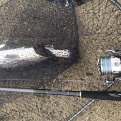 おNewタックル鱗付け