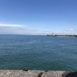 やっぱりか、、、