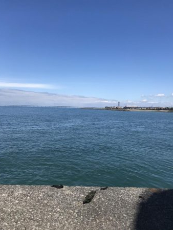 やっぱりか、、、