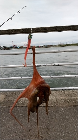 長いボウズ記録から脱出しました。