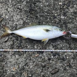 スーツバとの勝負