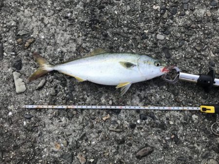 スーツバとの勝負