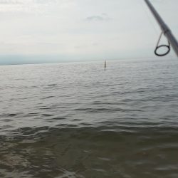 なんとかゲット