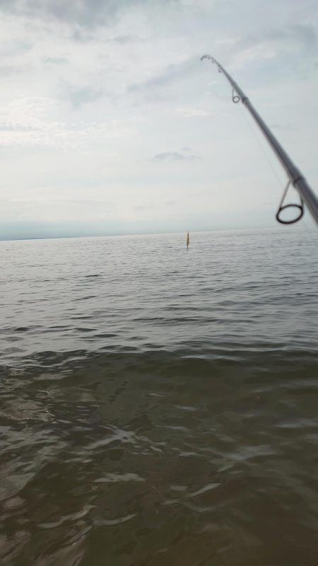 なんとかゲット