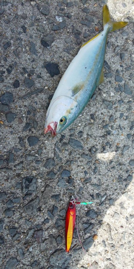 ラッキーは二度刺す