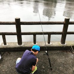 貝塚人工島でちょい投げ