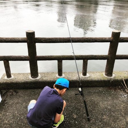 貝塚人工島でちょい投げ