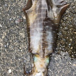 ひっさしぶりー!