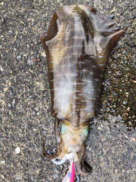 ひっさしぶりー!