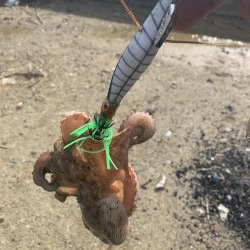 雨上がりにちょこっと♪