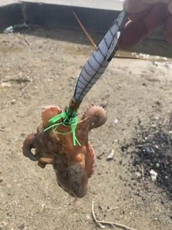 雨上がりにちょこっと♪