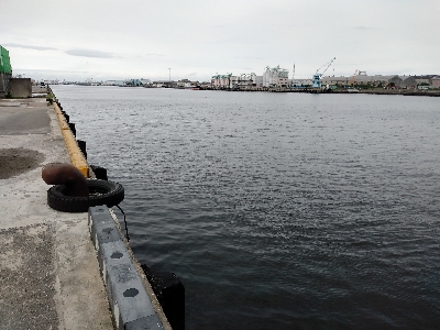 年無しゲットかと思いきや。