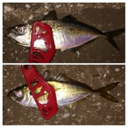 アジング1915〜2045