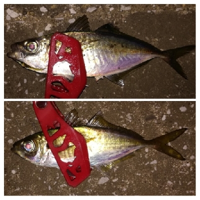 アジング1915〜2045