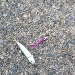 ルアーフィッシング