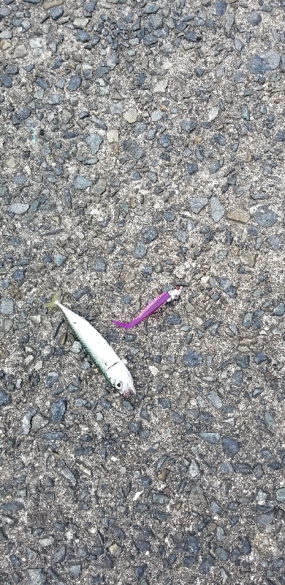 ルアーフィッシング