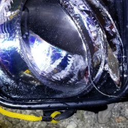 タチウオ釣り&各地のタチウオ釣果報告