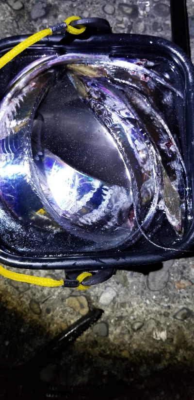 タチウオ釣り&各地のタチウオ釣果報告