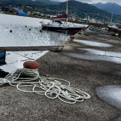 久しぶりの投稿です