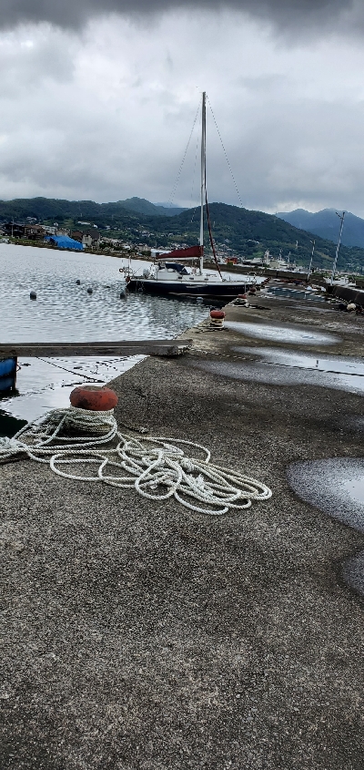 久しぶりの投稿です