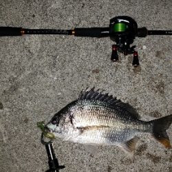 ようやく出会えた‼️