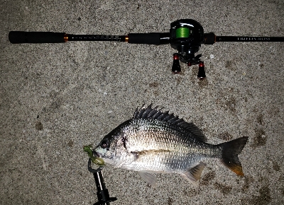 ようやく出会えた‼þ…