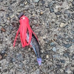 オクトパッシング