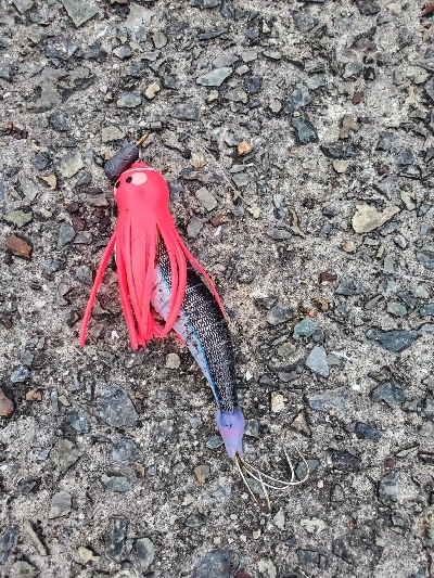 オクトパッシング