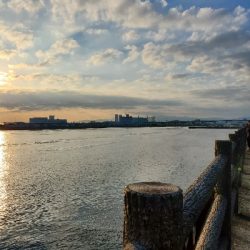 ノリノリタコライダー使用