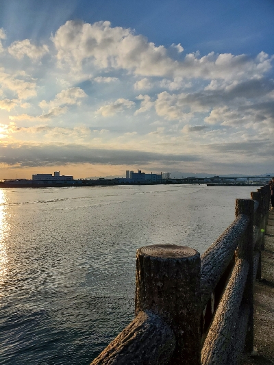 ノリノリタコライダー使用